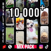 ANIMAUX - Pack Vidéos Shorts